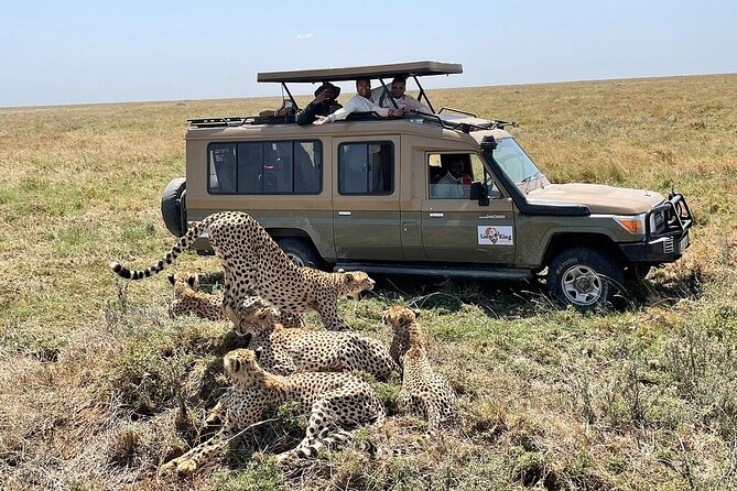 Private 6-Day Tarangire Manyara Crater and Serengeti With Mid-Range Lodges - Discovering Ngorongoro Crater