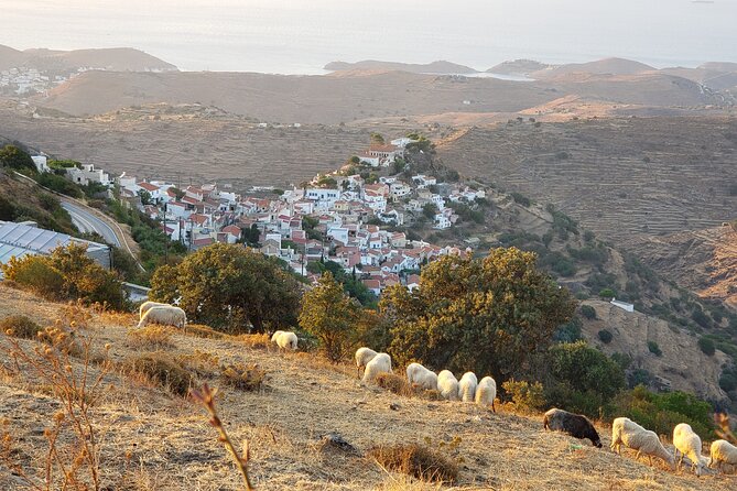 Private 6-Day Tour Discovering Greece and Live Like an Islander - Cancellation and Modifications