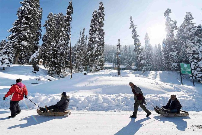 Private 6-Day Tour With Dal Lake Houseboat Stay, Kashmir  - Srinagar - Transportation and Logistics