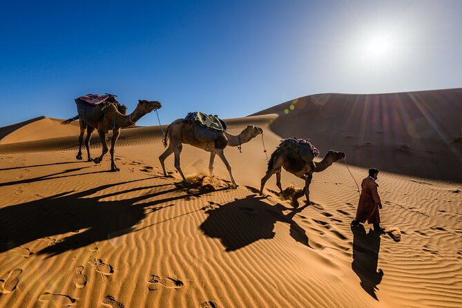 Private 6 Days Desert Tour From Casablanca to Marrakech - Exploring Marrakechs Attractions