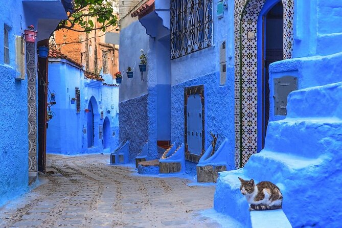Private 6-Days Tour From Casablanca to Chefchaouen -Fes-Merzouga and Marrakech - Inclusions