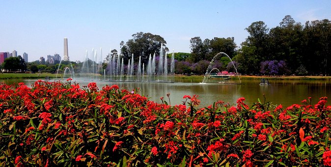 Private 6-Hour City Tour of São Paulo - Customizable Itinerary