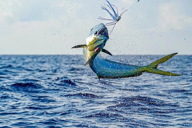 Private 6 Hour Fishing Charter in Nassau - Accessibility and Restrictions
