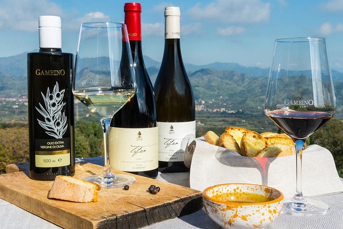 Private 6-Hour Tour of Three Etna Wineries With Food and Wine Tasting - Key Points