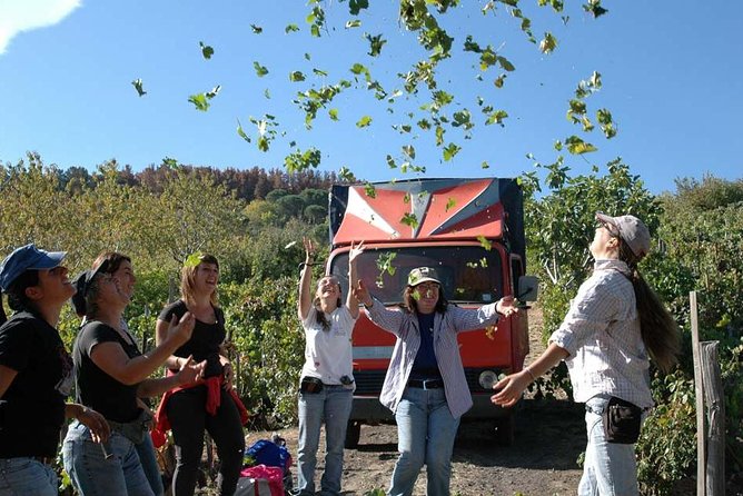 Private 6-Hour Tour of Three Etna Wineries With Food and Wine Tasting - Requirements and Accessibility