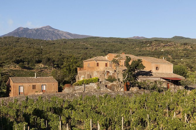 Private 6-Hour Tour of Three Etna Wineries With Food and Wine Tasting - Explore Volcanic Terroirs