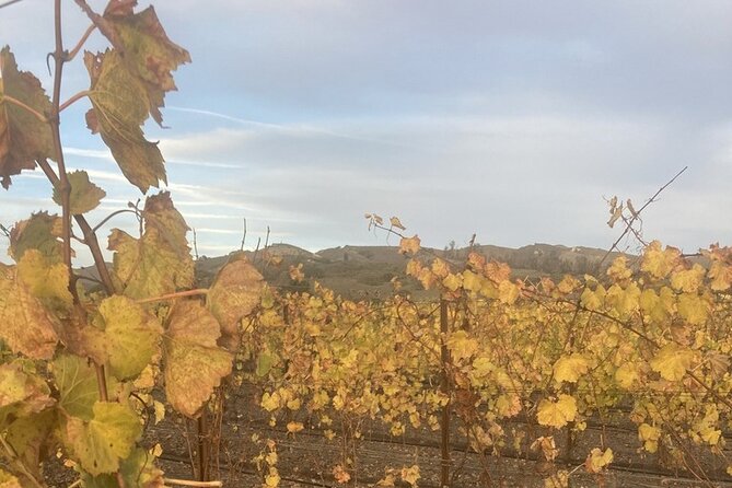 Private 6 Hour Wine Tour of Santa Barbara County - Transportation and Pickup Details