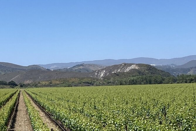 Private 6 Hour Wine Tour of Santa Barbara County - Exploring the Wineries