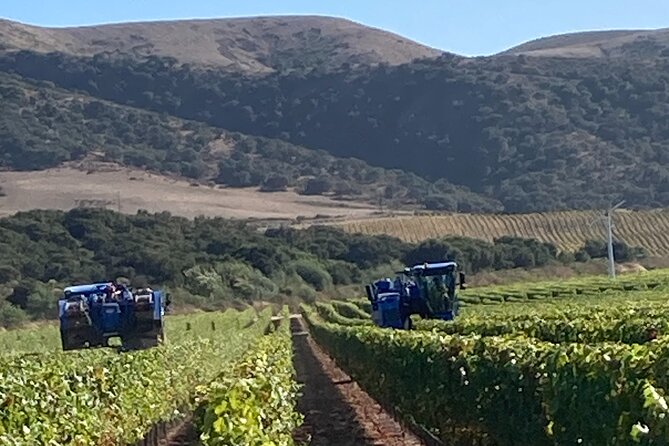 Private 6 Hour Wine Tour of the Santa Ynez Valley - Traveler Experience