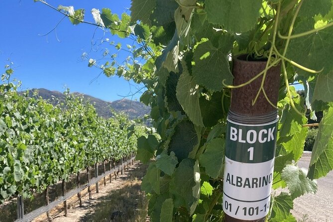 Private 6 Hour Wine Tour of the Santa Ynez Valley - Customer Reviews