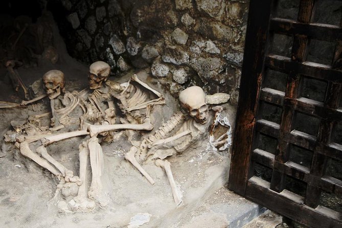 Private 6h Tour to Pompei and Ercolano With Port or Hotel Pick-Up - Inclusions