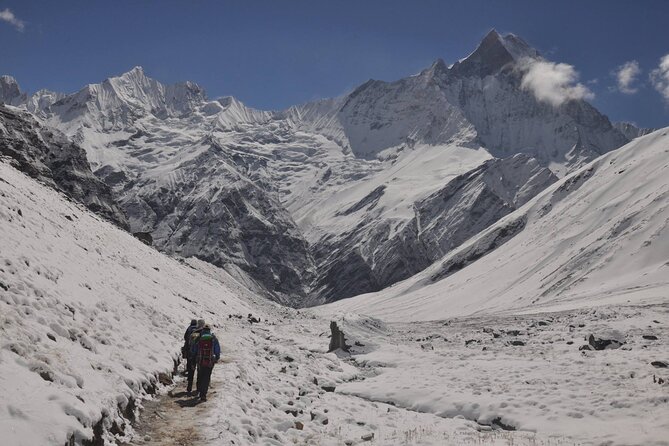 Private 7 - Day Annapurna Base Camp Trekking - Accommodations and Meals