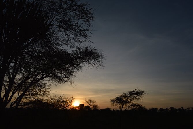 Private 7-Day Tanzania Camping Safari - Safety and Precautions