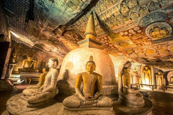 Private 7-Day Tour Around Sri Lanka - Nature-themed Activities