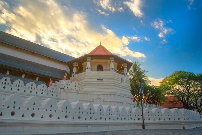 Private 7-Day Tour Around Sri Lanka - Traveler Feedback and Reviews
