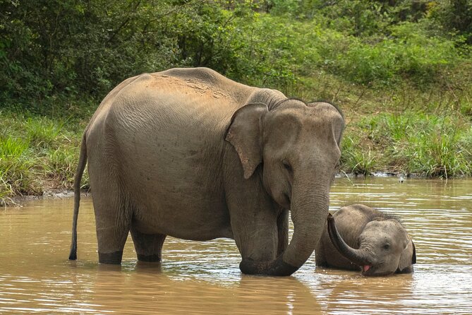 Private 7-Day Tour Around Sri Lanka - Booking and Logistics