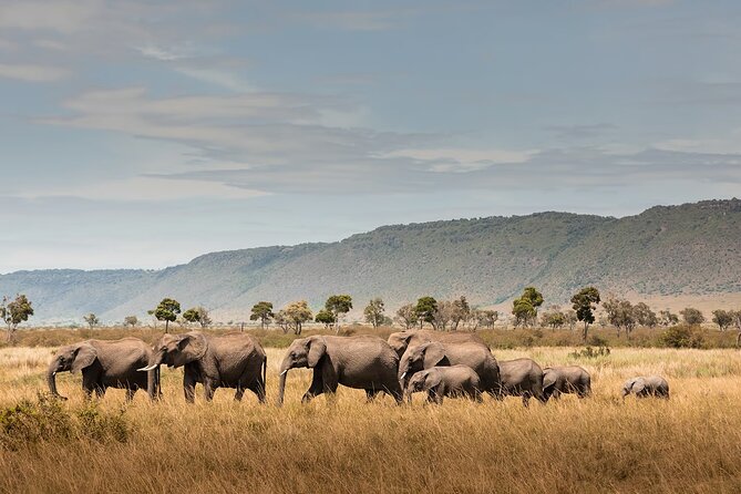 Private 7 Days Classic Safari Tour in Tanzania - Tour Overview