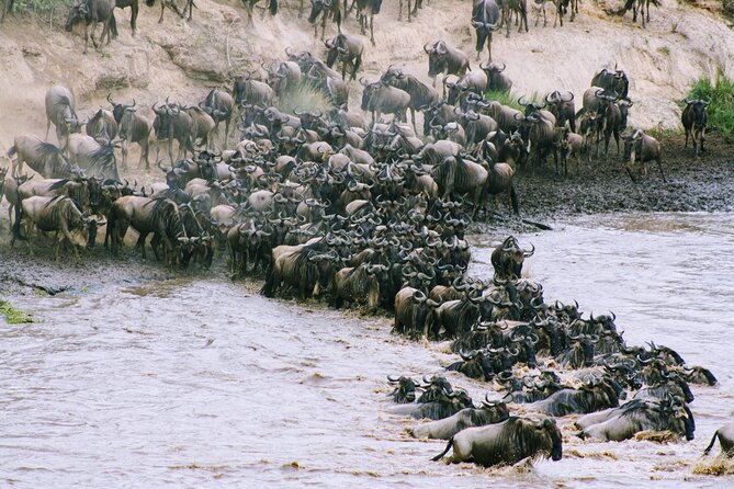 Private 7 Days Kenya Safari Tour With Jeep - Accessibility and Participation