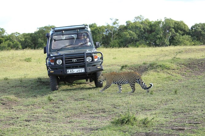 Private 7 Days Kenya Safari Tour With Jeep - Pricing and Cancellation