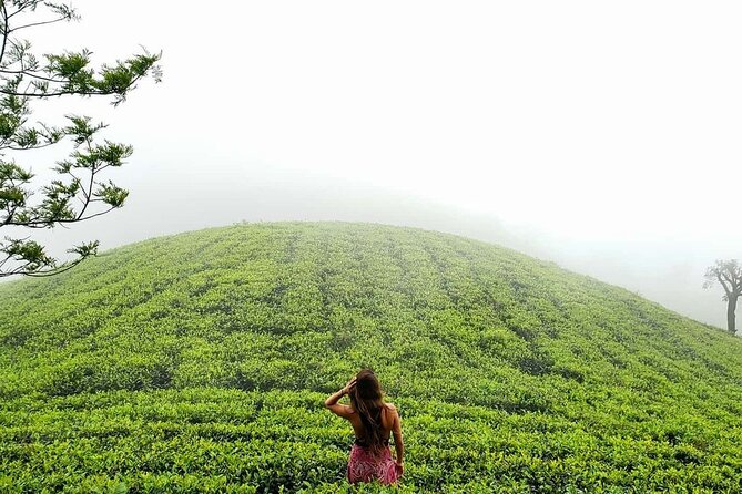 Private 7 Days Sri Lanka Tour With Safari and Cultural Sites - Activities and Experiences