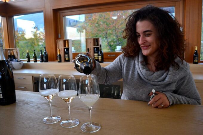 Private 7-Hour Prosecco Wine Tour From Venice - Guided Wine Tastings