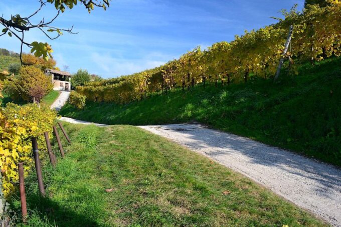 Private 7-Hour Prosecco Wine Tour From Venice - Traditional Light Lunch