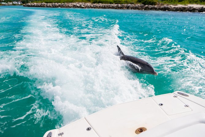 Private 7-Hr Island Escape Tour in Turks and Caicos (up to 10) - Highlights From Customer Reviews