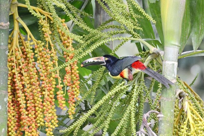 Private 8-Day Costa Rica Luxury Tour - Discover San José