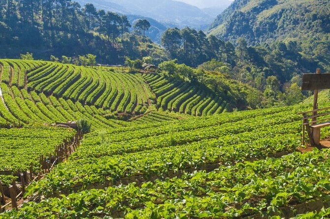 Private 8-Day Costa Rica Luxury Tour - Recap