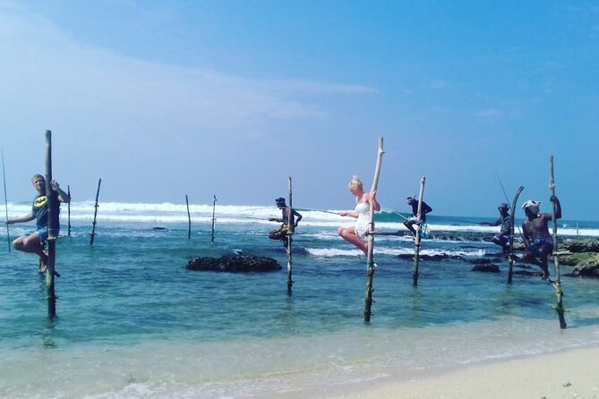 Private 8 Day Tour in Sri Lanka - Meeting and Pickup