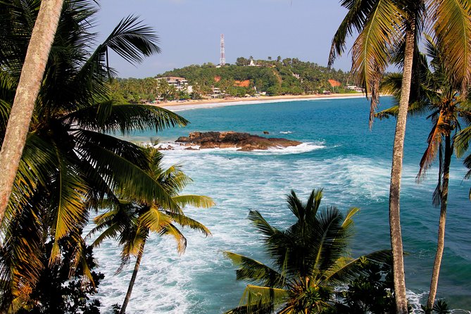 Private 8-Day Tour of Sri Lanka From Colombo - Pickup and Meeting Details