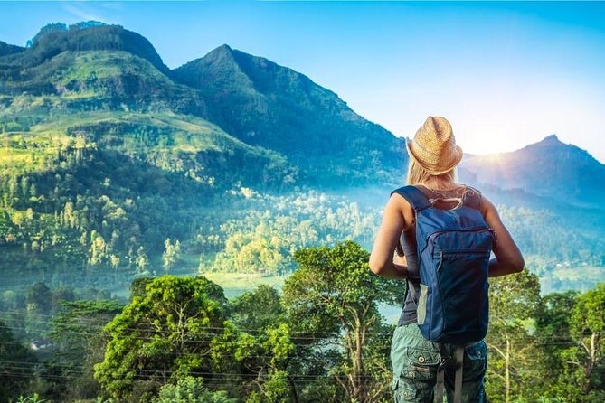 Private 8-Day Tour of Sri Lanka From Colombo - Additional Information