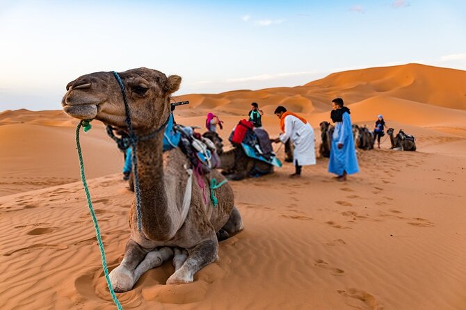 Private 8 Days Trip in Morocco - Experiencing Sahara Desert