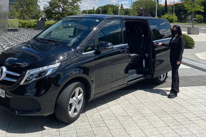 Private 8-Hour Shore Excursion From Civitavecchia to Rome - Cruise Port Pick up - Pricing Structure and Costs