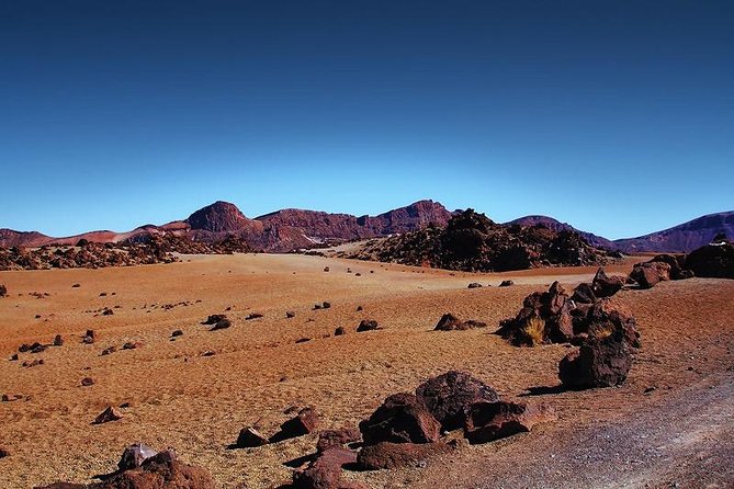 Private 8-Hour Shore Excursion to El Teide Cable Car With Guide and Driver - Tour Guide and Driver