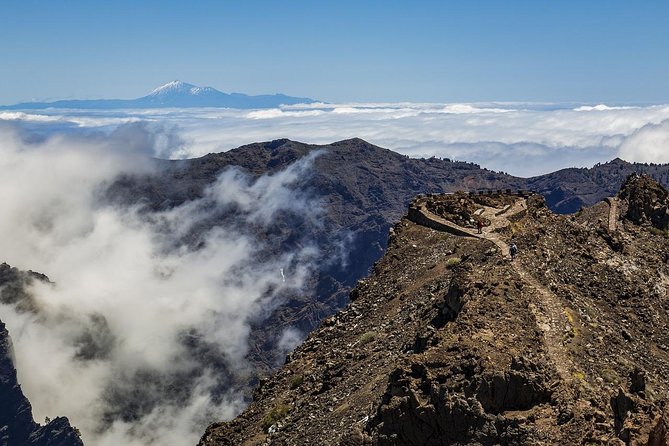 Private 8-Hour Shore Excursion to El Teide Cable Car With Guide and Driver - Customer Reviews