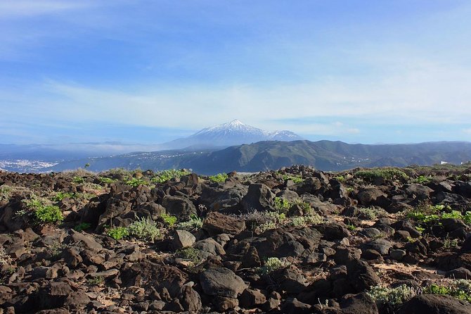 Private 8-Hour Shore Excursion to El Teide Cable Car With Guide and Driver - Frequently Asked Questions