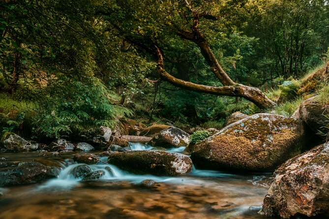 Private 8-Hour Tour to Glendalough and Wicklow From Dublin - Convenient Hotel Pickup and Drop-off
