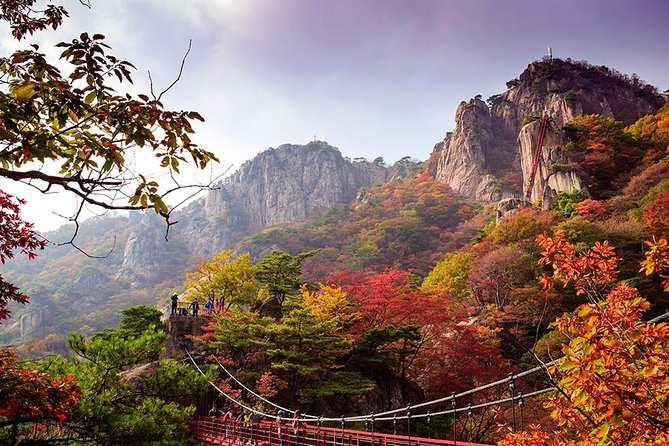 (Private) 9-Days Tasty Journey Around South Korea Tour - Pickup and Accommodation