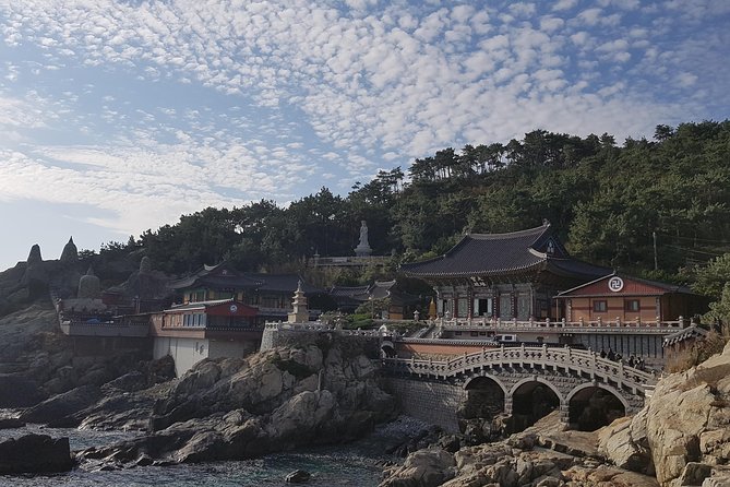 (Private) 9-Days Tasty Journey Around South Korea Tour - Traveler Recommendations