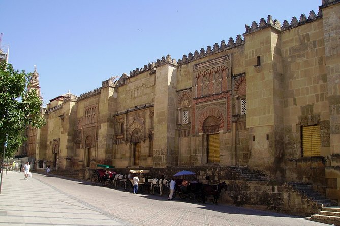 Private 9-Hour Tour to Cordoba From Granada With Hotel Pick up & Drop off - Reviews