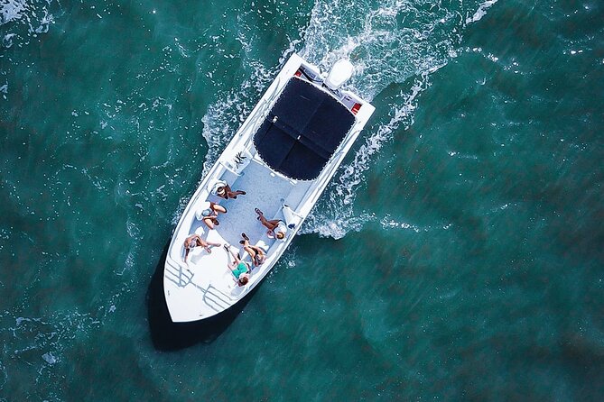 Private 90 Minute Dolphin Tour (Up to 14 Passengers) - Key Points