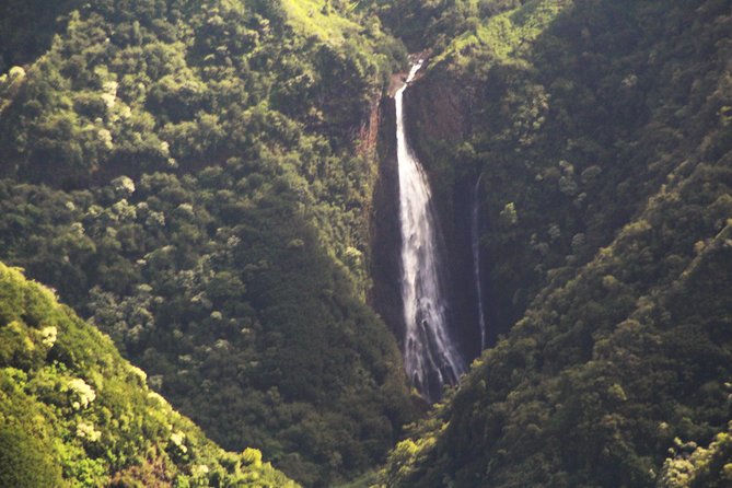 Private 90-Minute Kauai and Forbidden Island Airplane Tour - Accessibility and Participation
