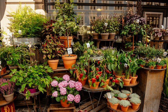 Private 90-Minute Walking Tour in Stockholm - Inclusions and Exclusions