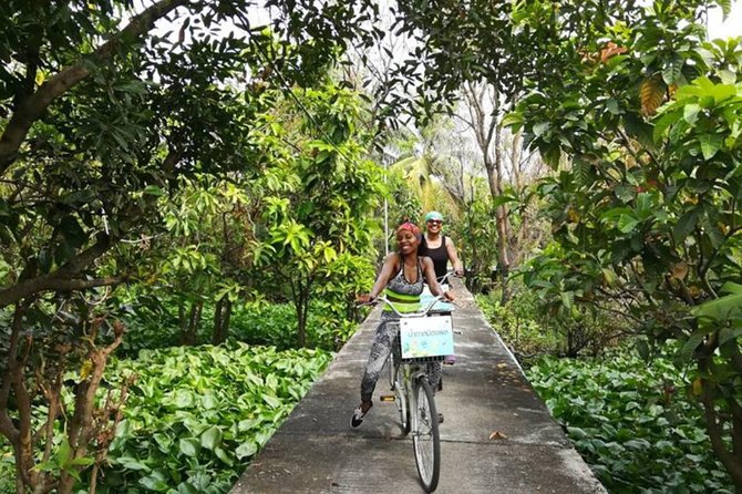 Private - a BIKING TOUR at Car-Free ISLAND Incl LUNCH - What to Expect on the Tour