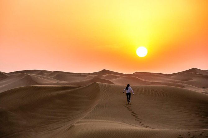 Private Abu Dhabi Desert Safari From Dubai With Hot BBQ Dinner - Camel Farm Visit