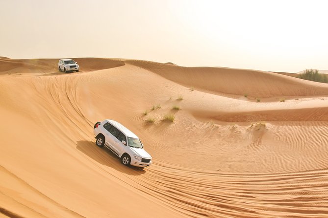 Private Abu Dhabi Evening Desert Safari (Exclusive) - Customer Reviews and Feedback