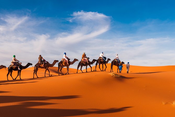 Private Abu Dhabi Evening Desert Safari (Exclusive) - Tips for an Amazing Experience