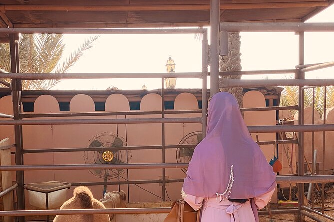 Private - Abu Dhabi Half Day City Tour - Highlights and Attractions