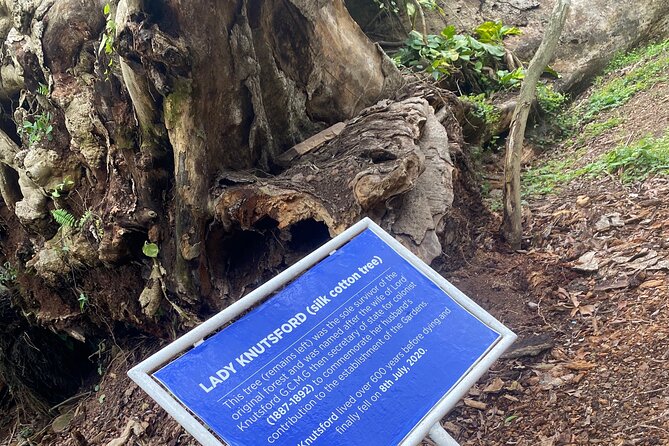 Private Aburi Hill Guided Tour - Meeting and Pickup